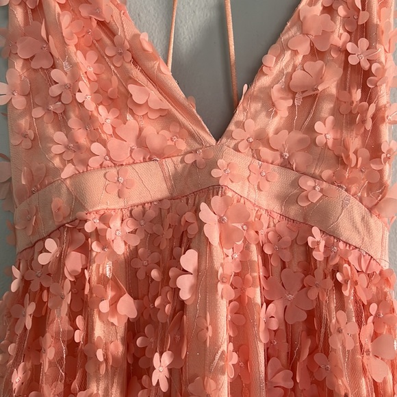 NWOT southern fried chics maxi dress. Never worn. - Picture 3 of 8